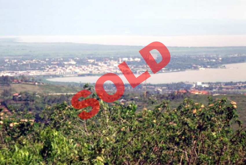 Land on Dago Hilltop
