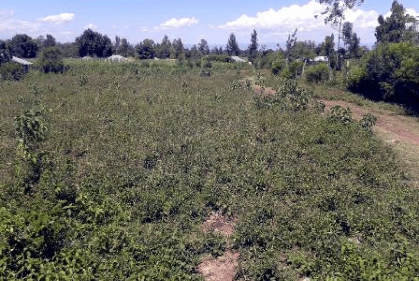 Land on Busia Road, Kisian Junction