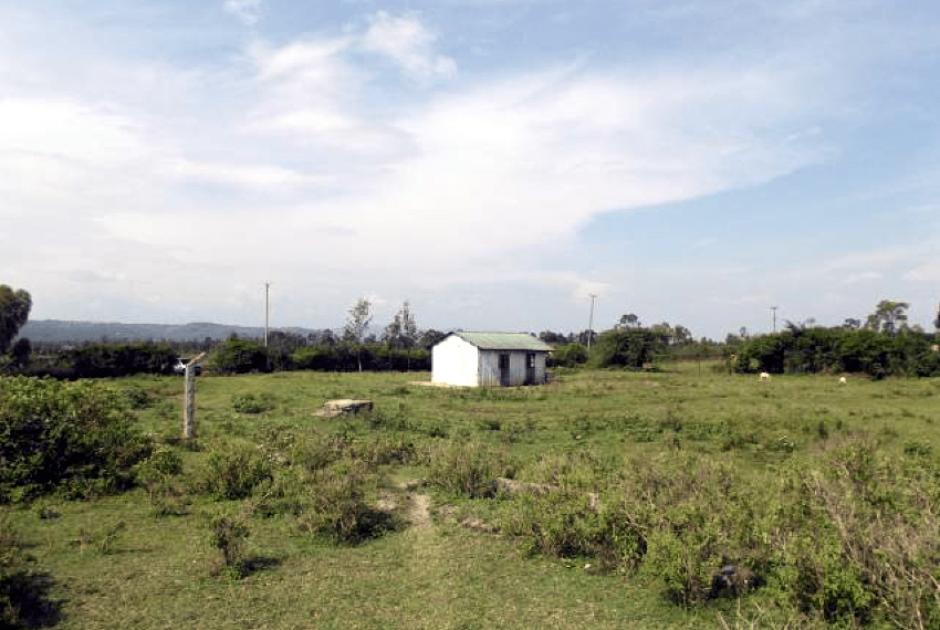 Land in Kogony