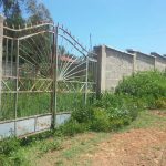 Plot in Mamboleo
